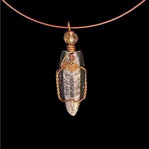 Orthoceras Fossil Copper Wire Wrapped Pendant Necklace Womens Fossil Jewelry NEW